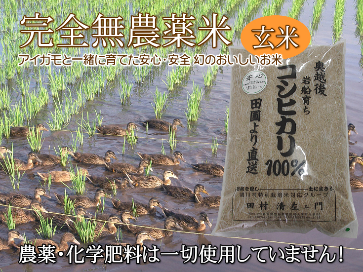 無農薬無化学肥料の有機米コシヒカリ30キロ玄米