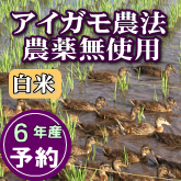 岩船産コシヒカリ 農薬無使用 白米